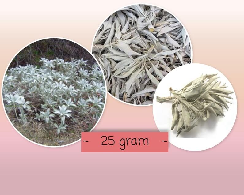 Witte Salie 25 gram (fijn) - Palo / Heilighout