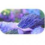 french lavendel ~geurhout.shop