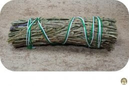 Smudge Stick Blue cedar, Ceder klein ~ Geurhout.nl