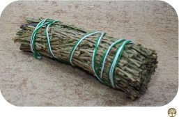 Smudge Stick Blue cedar, Ceder klein ~ Geurhout.nl